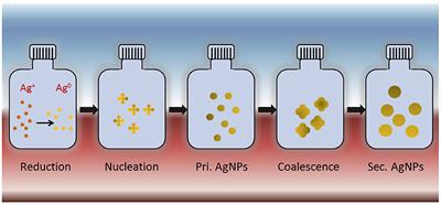 Mechanistic Basis of Antimicrobial Actions of Silver Nanoparticles